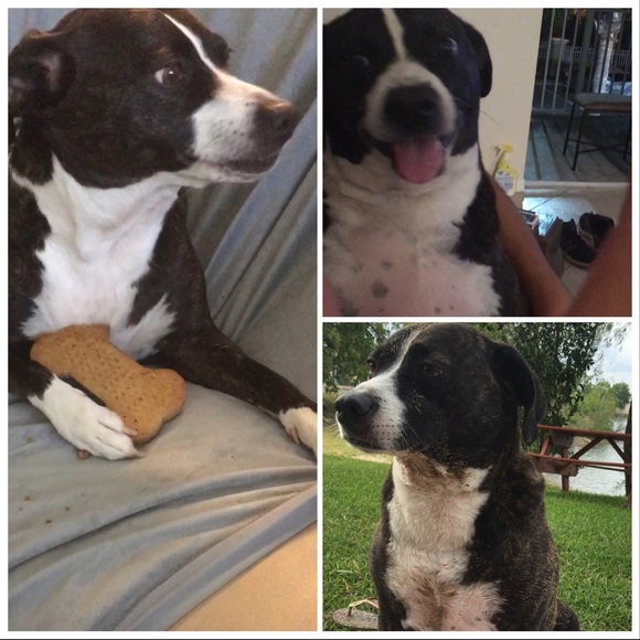 Meet your Posher, Luli&Sharon - Picture 4 of 8